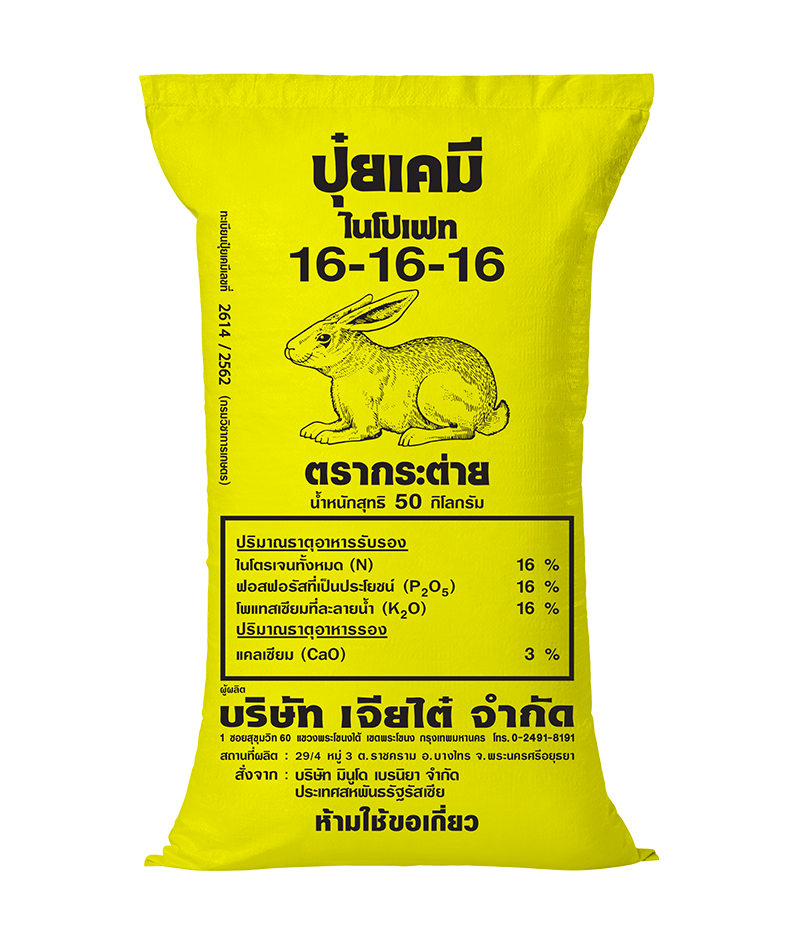 16-16-16 กระต่ายเหลือง (รัสเซีย)