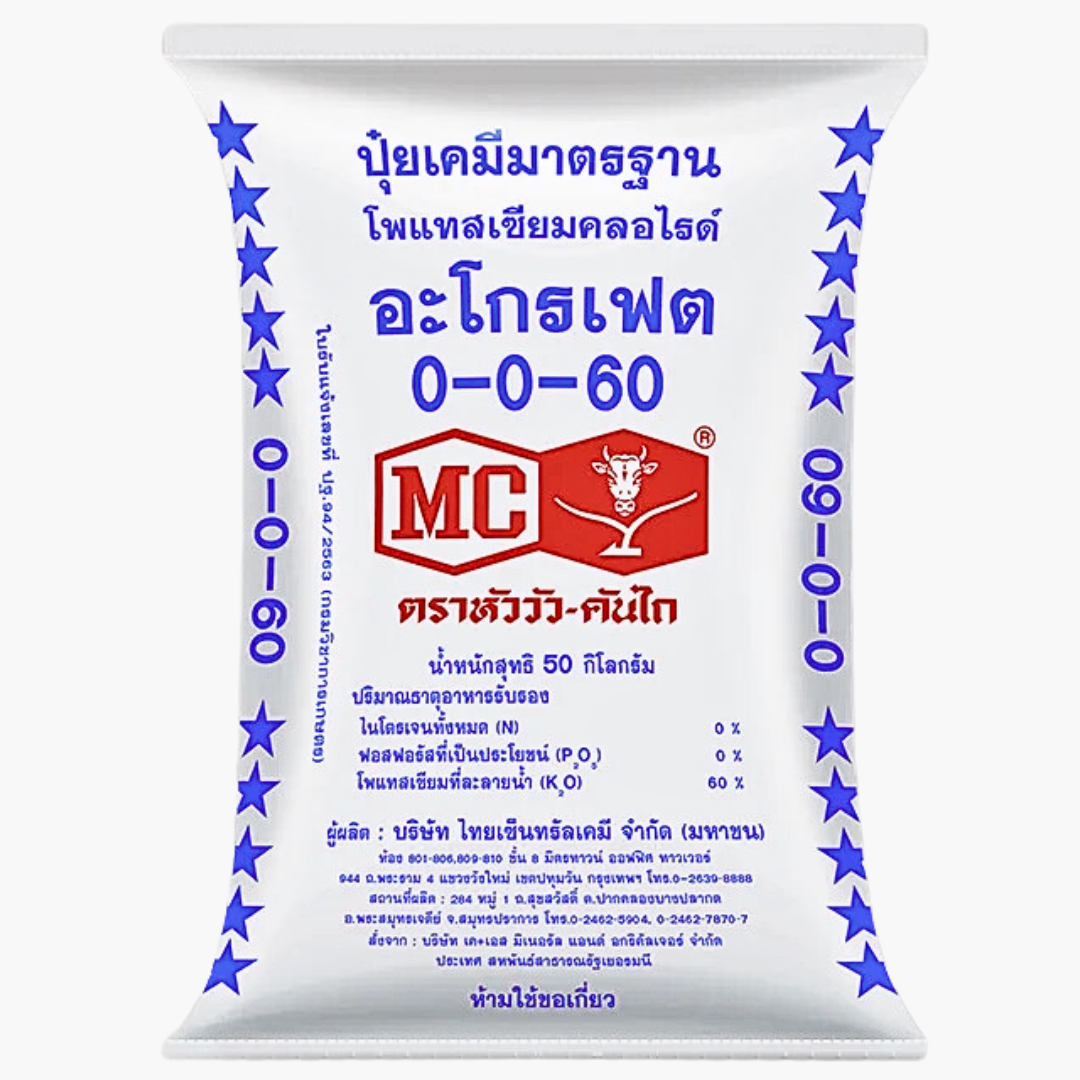 0-0-60 หัววัว