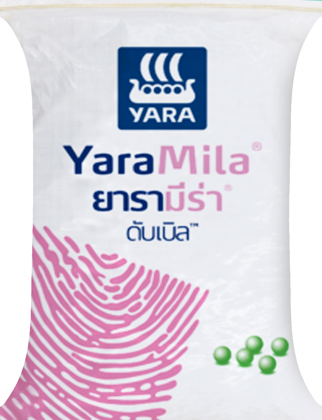 8-24-24 เรือใบยารา