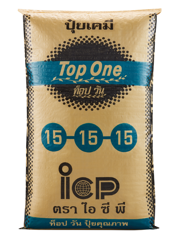 15-15-15 ท็อปวัน
