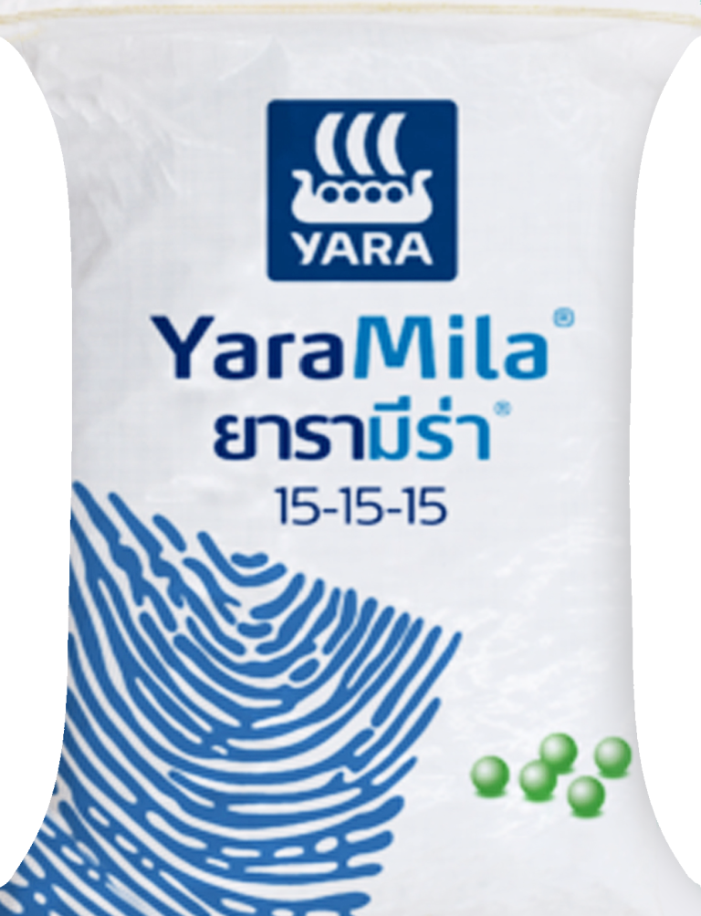 15-15-15 เรือใบยารา