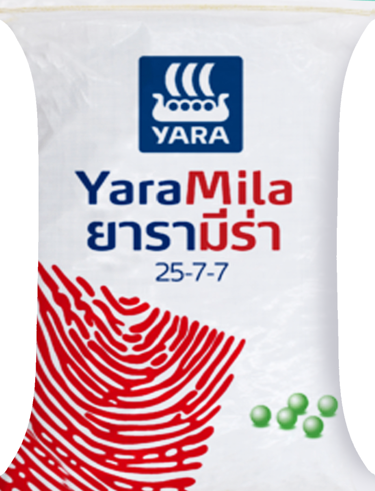 25-7-7 เรือใบยารา